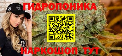 молекула духа Заводоуковск