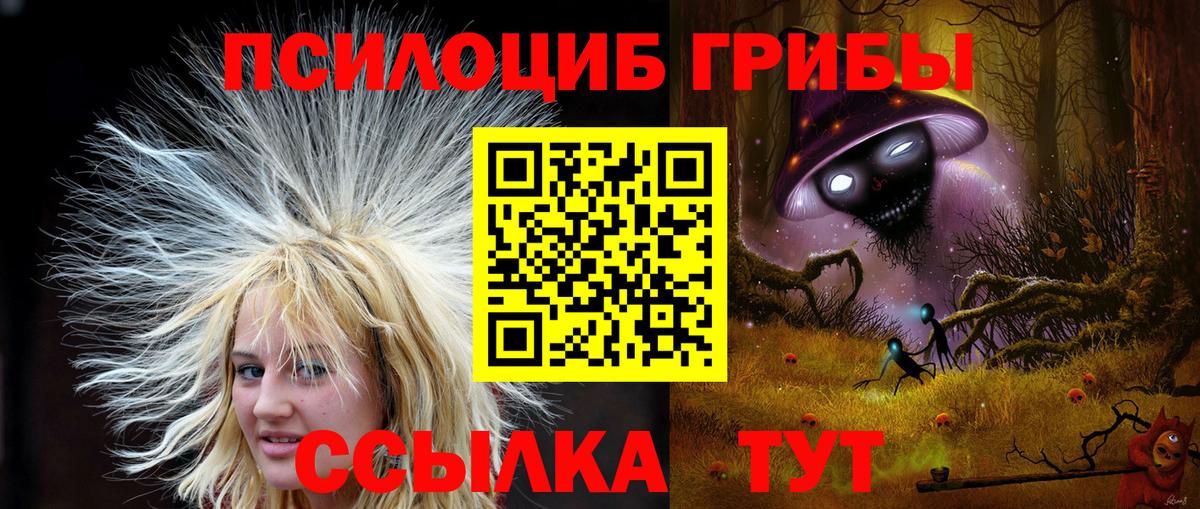 Псилоцибиновые грибы прущие грибы  Вход с VPN  Лабинск 